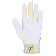 Mizuno Pro Select Faspitch Batting Gloves
