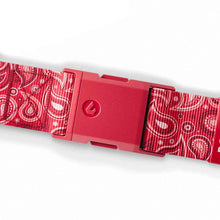 Bobby Heaters Edge Paisley Standard Belt