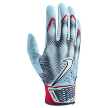 Nike Alpha Varsity Batting Gloves Acuna Glacier Blue/Aquarius/Navy/White