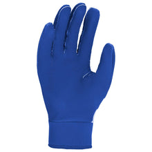 Nike Alpha 2.0 Youth Batting Gloves