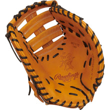 Rawlings Heart of the Hide RPROTDCTT 13"