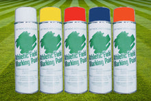 TSI White Line Marking Paint (Case)