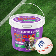 Big League Chew Bucket Grape-80 count