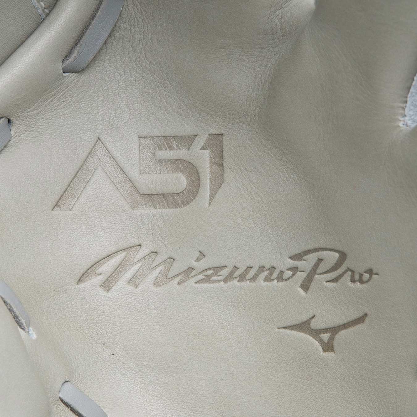 Mizuno Pro Custom 