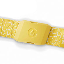 Bobby Heaters Diamond Crackle Youth Belt