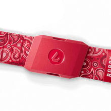 Bobby Heaters Diamond Paisley Standard Belt