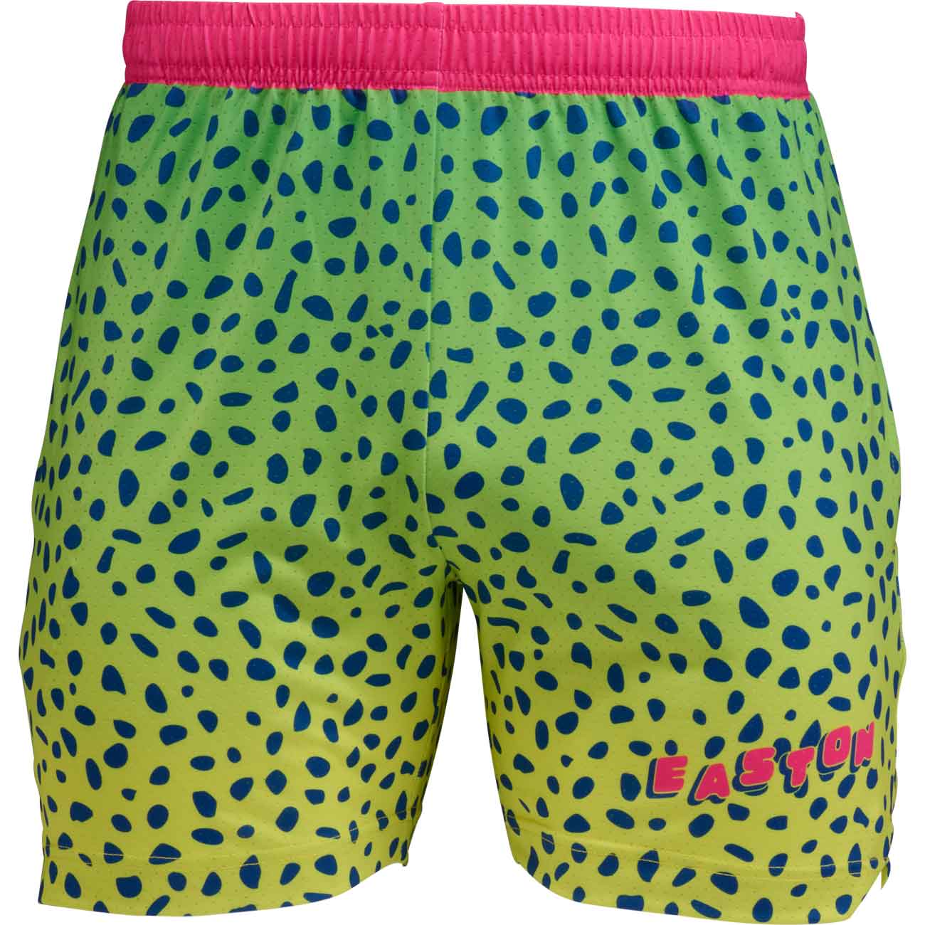 Easton Spring Break '26 Youth Shorts