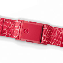 Bobby Heaters Edge Crackle Standard Belt
