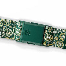 Bobby Heaters Edge Paisley Standard Belt