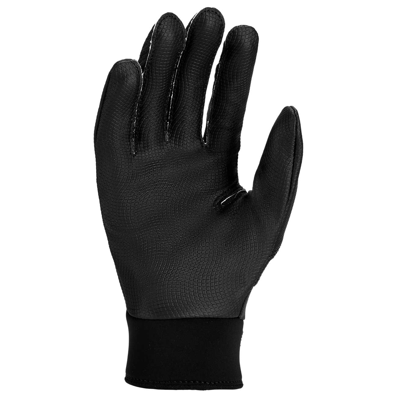 Nike Alpha 2.0 Youth Batting Gloves