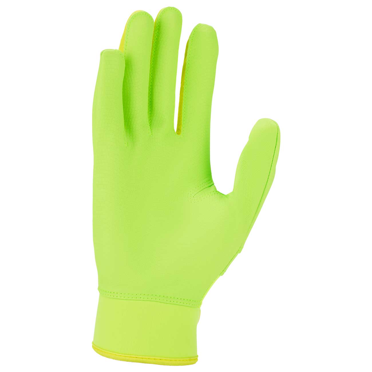 Nike Alpha 2.0 Youth Batting Gloves