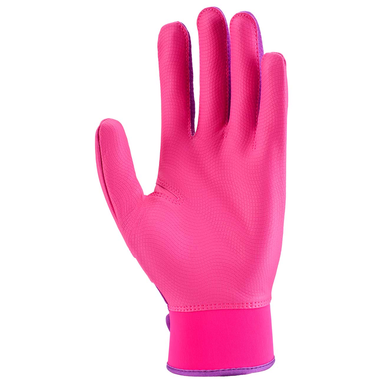 Nike Alpha 2.0 Batting Gloves