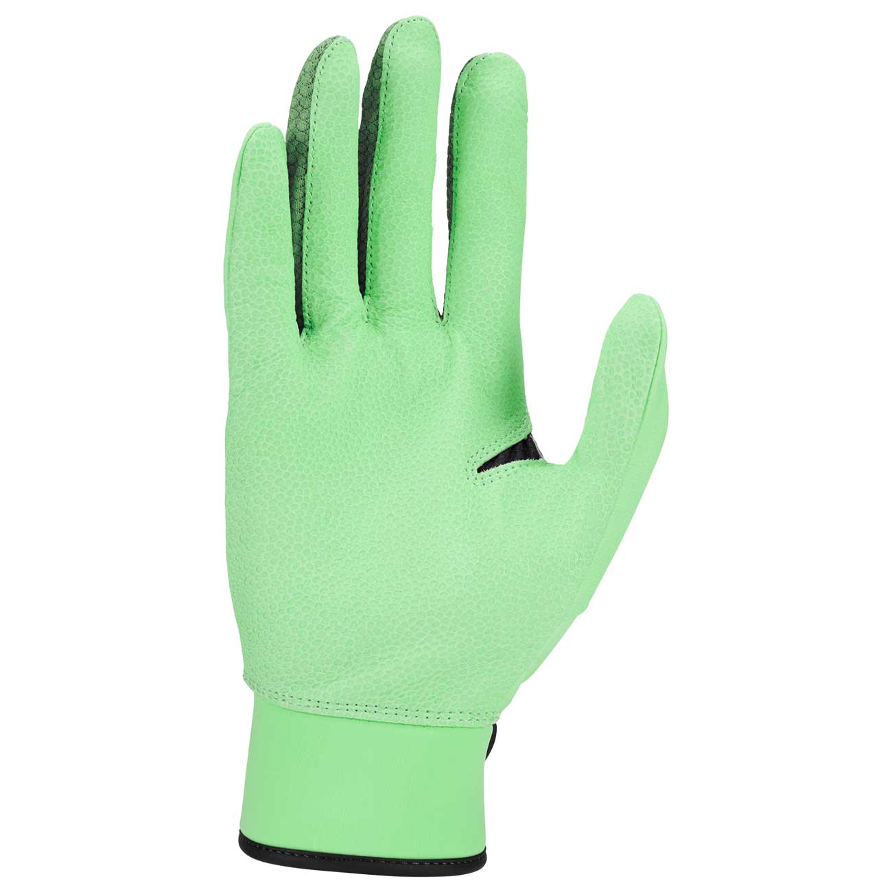 Nike Alpha Elite 2.0 Batting Gloves