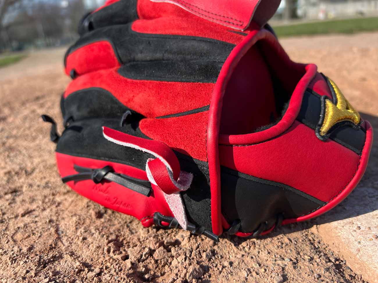 Mizuno Pro 