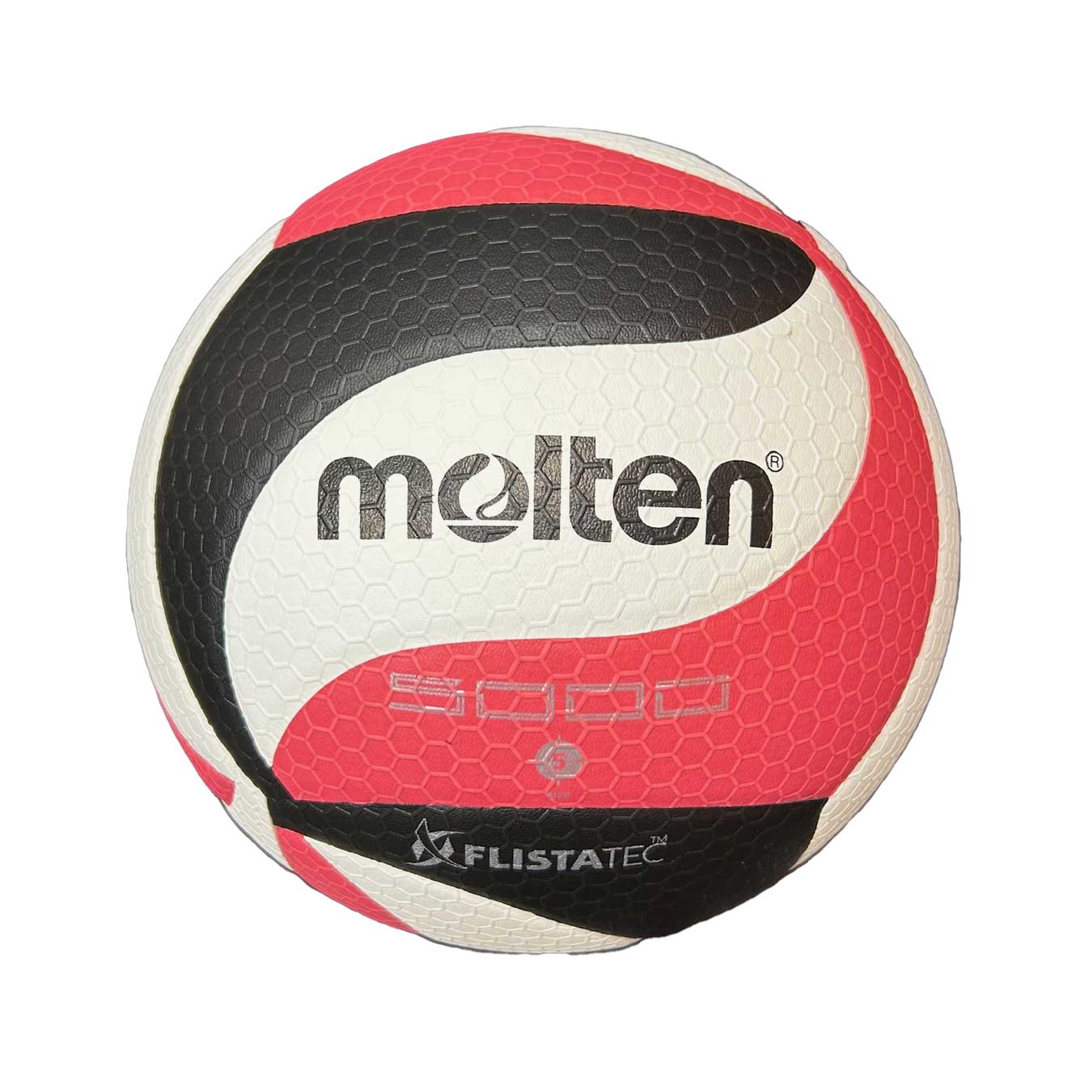 Molten Game Volleyball