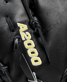 Wilson A2000 Classic 1679 12.5" Baseball Glove