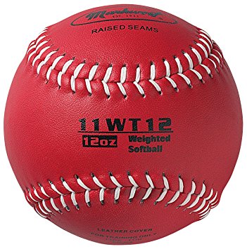 Markwort Weighted Softball