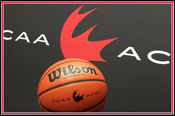 Wilson CCAA Game Basketball